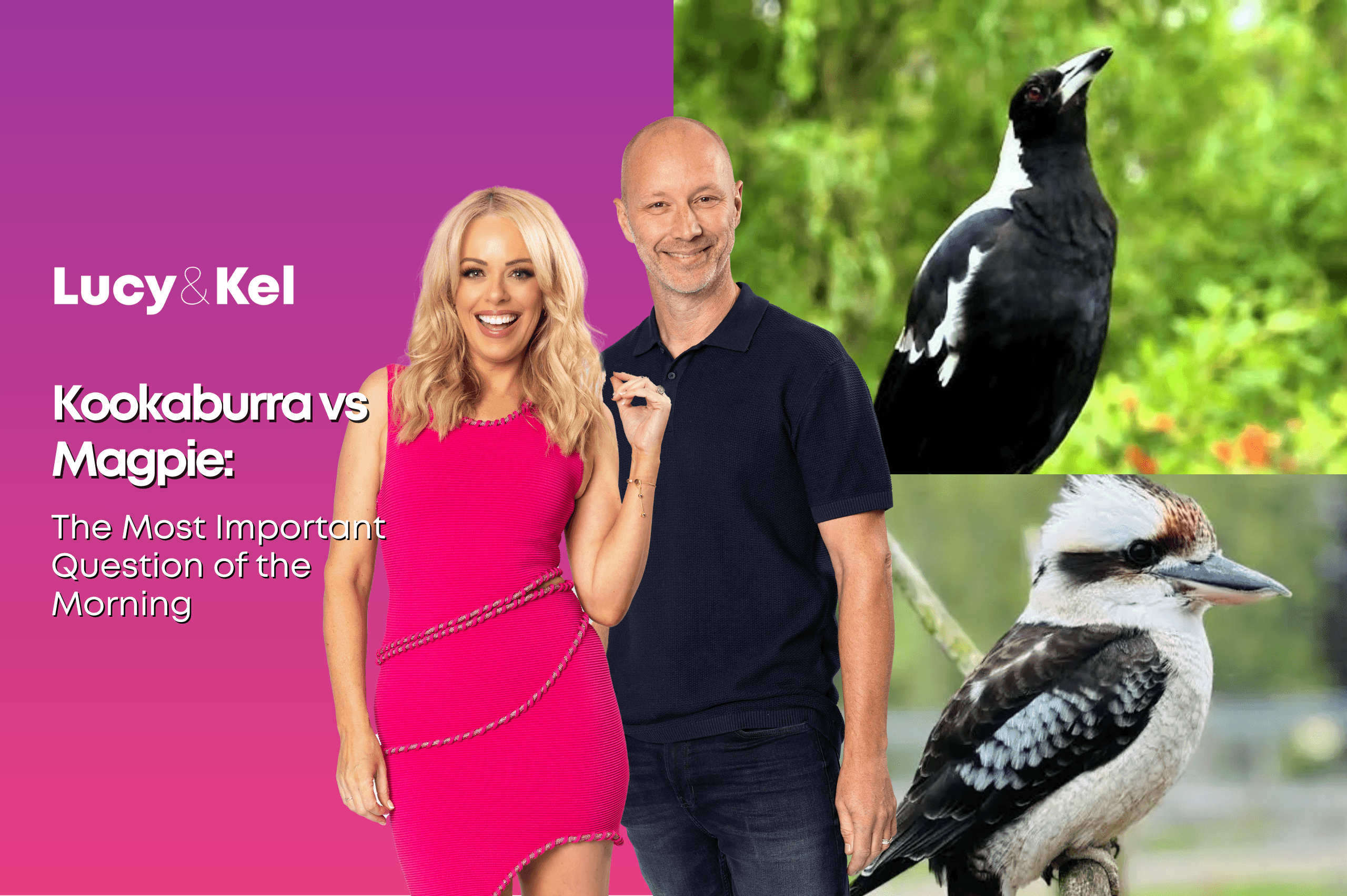 Kookaburra vs Magpie: The Most Important Question of the Morning