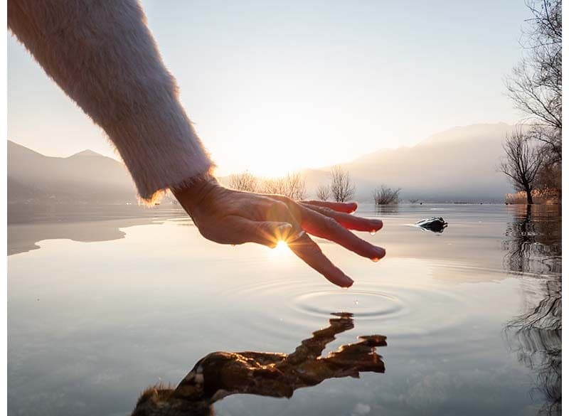 The Wellspring of Life